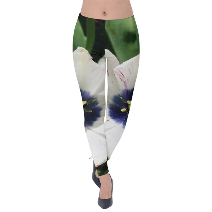 Blue Centered Tulip Velvet Leggings