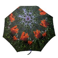 Poppy Field Folding Umbrellas by okhismakingart