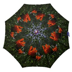 Poppy Field Straight Umbrellas by okhismakingart