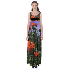 Poppy Field Empire Waist Maxi Dress by okhismakingart