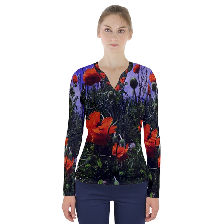 Poppy Field V-Neck Long Sleeve Top