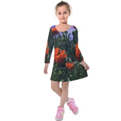 Poppy Field Kids  Long Sleeve Velvet Dress