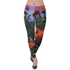 Poppy Field Velvet Leggings