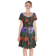 Poppy Field Short Sleeve Bardot Dress by okhismakingart