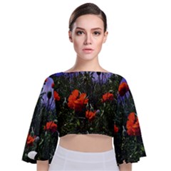 Poppy Field Tie Back Butterfly Sleeve Chiffon Top