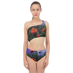 Poppy Field Spliced Up Two Piece Swimsuit by okhismakingart