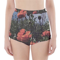 Faded Poppy Field  High-waisted Bikini Bottoms