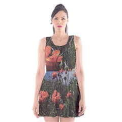 Faded Poppy Field  Scoop Neck Skater Dress by okhismakingart