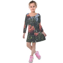 Faded Poppy Field  Kids  Long Sleeve Velvet Dress