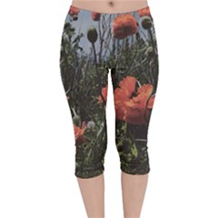 Faded Poppy Field  Velvet Capri Leggings 