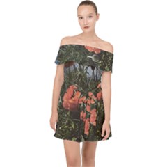 Faded Poppy Field  Off Shoulder Chiffon Dress by okhismakingart