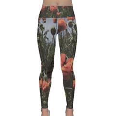 Faded Poppy Field  Lightweight Velour Classic Yoga Leggings by okhismakingart