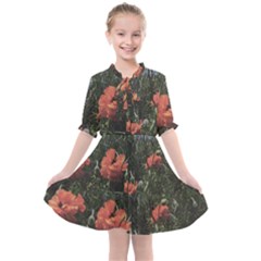 Faded Poppy Field  Kids  All Frills Chiffon Dress