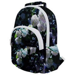 Blue Snowballs Ii Rounded Multi Pocket Backpack