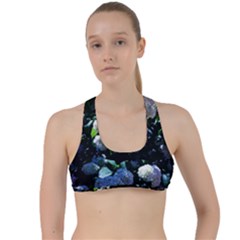 Blue Snowballs Ii Criss Cross Racerback Sports Bra by okhismakingart