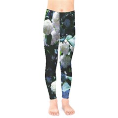 Blue Snowballs Ii Kids  Legging by okhismakingart