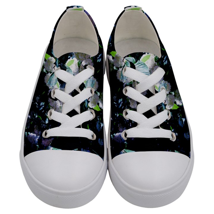 Blue Snowballs II Kids  Low Top Canvas Sneakers