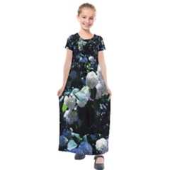 Blue Snowballs Ii Kids  Short Sleeve Maxi Dress by okhismakingart