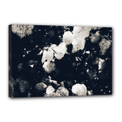 High Contrast Black And White Snowballs Ii Canvas 18  X 12  (stretched) by okhismakingart