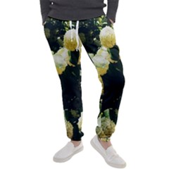 Yellow Snowballs Ii Men s Jogger Sweatpants