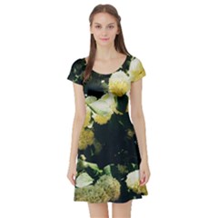 Yellow Snowballs Ii Short Sleeve Skater Dress