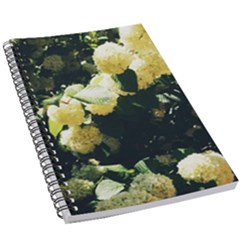 Yellow Snowballs Ii 5 5  X 8 5  Notebook by okhismakingart