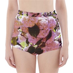 Pink Snowballs High-waisted Bikini Bottoms