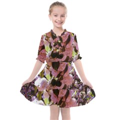 Pink Snowballs Kids  All Frills Chiffon Dress