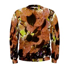 Yellow-pink Snowballs Men s Sweatshirt