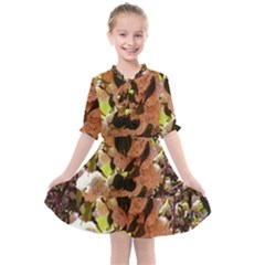 Yellow-pink Snowballs Kids  All Frills Chiffon Dress