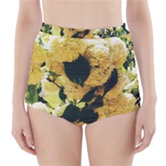 Yellow Snowballs High-waisted Bikini Bottoms