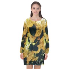 Yellow Snowballs Long Sleeve Chiffon Shift Dress 