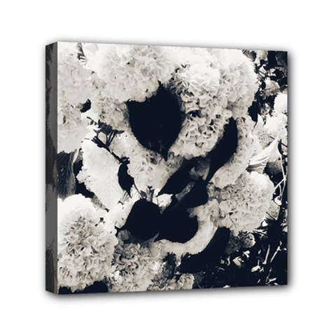 High Contrast Black And White Snowballs Mini Canvas 6  X 6  (stretched) by okhismakingart