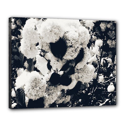 High Contrast Black And White Snowballs Canvas 20  X 16  (stretched) by okhismakingart