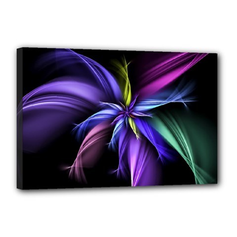 Fractal Floral Pattern Petals Canvas 18  X 12  (stretched) by Pakrebo