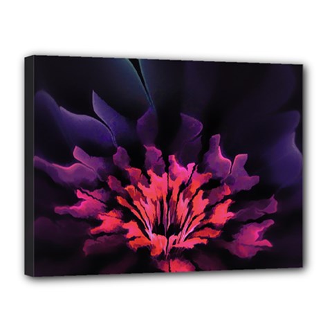 Floral Pink Fractal Painting Canvas 16  X 12  (stretched) by Pakrebo