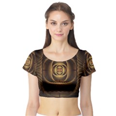 Fractal Copper Amber Abstract Short Sleeve Crop Top by Pakrebo