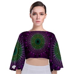 Purple Mandala Fractal Glass Tie Back Butterfly Sleeve Chiffon Top by Pakrebo