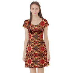 Rp 4 Short Sleeve Skater Dress by ArtworkByPatrick