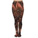 Fractal Painting Flower Texture Tights View1