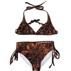 Fractal Painting Flower Texture Kids  Classic Bikini Set by Pakrebo