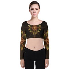 Fractal Floral Mandala Abstract Velvet Long Sleeve Crop Top by Pakrebo