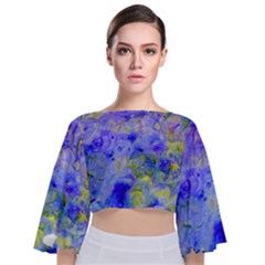 Abstract Blue Tie Back Butterfly Sleeve Chiffon Top by Pakrebo