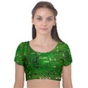 Background Green Board Business Velvet Short Sleeve Crop Top  View1