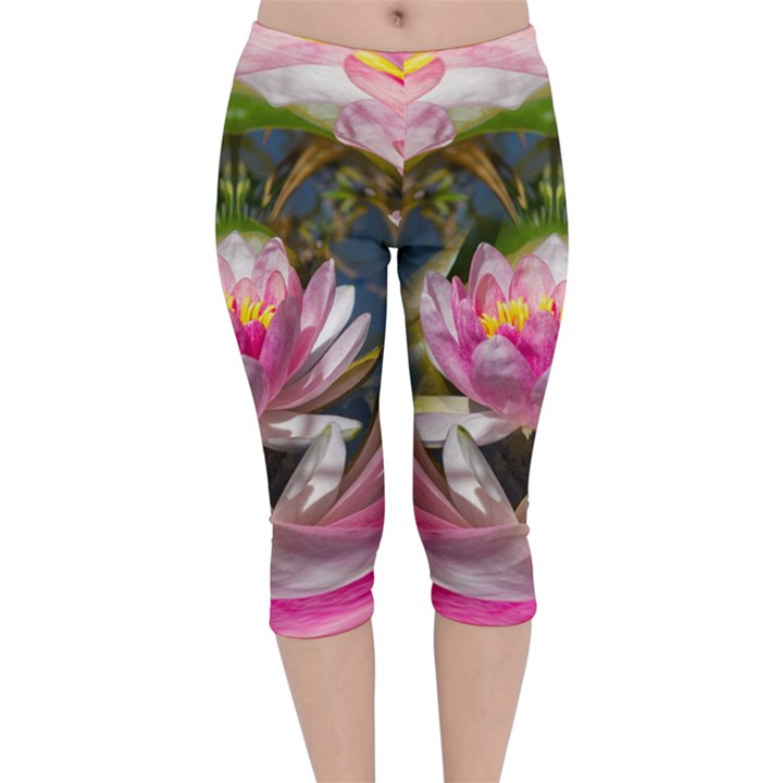 Flower Ornament Color Background Velvet Capri Leggings 