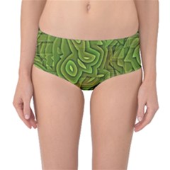 Background Abstract Green Seamless Mid-waist Bikini Bottoms by Pakrebo