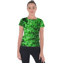 Green Abstract Fractal Background Short Sleeve Sports Top  by Pakrebo