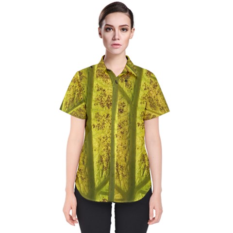 Leaf Structure Texture Background Women s Short Sleeve Shirt by Pakrebo