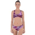 Paint Acrylic Paint Art Colorful Criss Cross Bikini Set View1