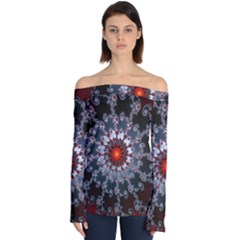 Fractal Rendering Spiral Helix Off Shoulder Long Sleeve Top by Pakrebo